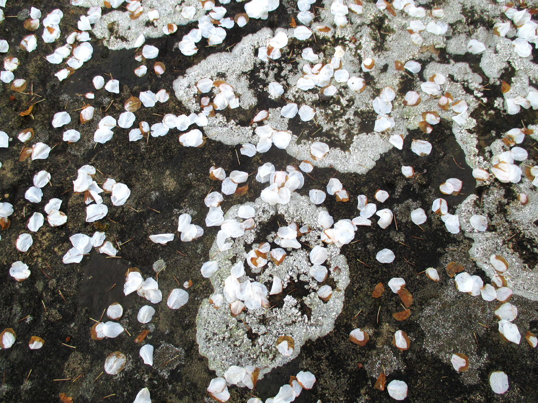 43. Fogelklou 2023 | Back Up | David Patten, image size:1100x825